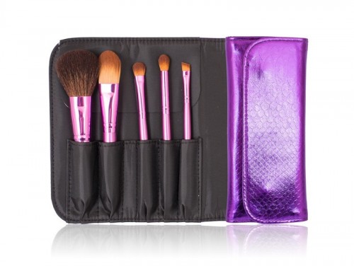 Shiny Color Travel Cosmetic Kit Makeup Brush Set