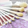 Hot Sale Cosmetic Brush Set with Synthetic Hair