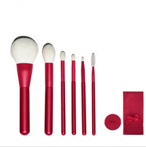 OEM 6PCS Cosmetic Brush Set Makeup Brush for Travelling