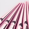 Hot Sale 10PCS Makeup Brush Set with Plastic Handle