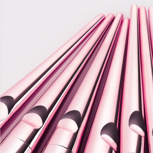 Hot Sale 10PCS Makeup Brush Set with Plastic Handle