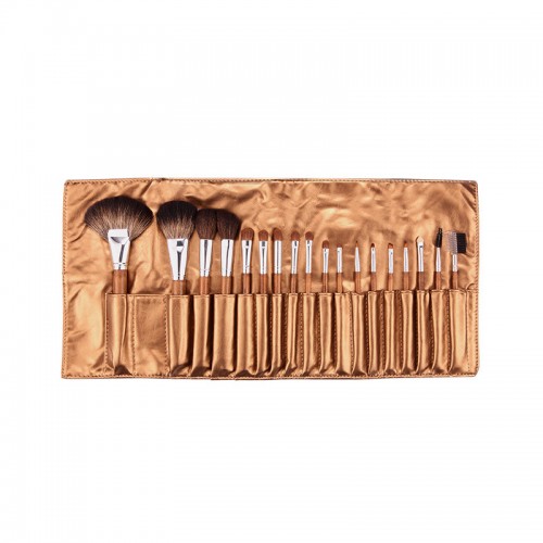 Professional Makeup Brush Set with Good Qulaity and Portable Bag
