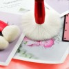 Wholesale Synthetic Hair Powder Makeup Brush Set