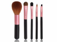 5PCS Mini Makeup Brush Set with Pink Ferrule