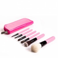 High Qaulity 6PCS Cosmetic Makeup Brush Set with Case