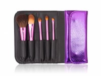 Shiny Color Travel Cosmetic Kit Makeup Brush Set