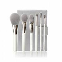 portable Travel 6PCS Makeup Brushes Set
