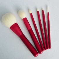 OEM 6PCS Cosmetic Brush Set Makeup Brush for Travelling