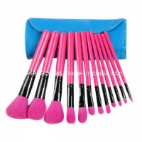 Vegan 12PCS Color Cosmetic Brush/Makeup Brush