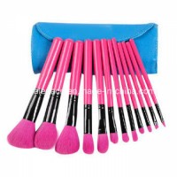 12PCS Color Cosmetic Brush/Makeup Brush/Beauty Brush