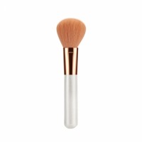 OEM 4PCS Makeup Brush Set with Synthetic Hair for Travelling